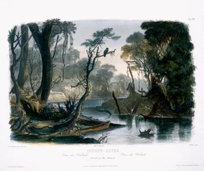 Rio Cutoff, Ramo do Wabash, prato 8 do Volume 1 de &39;Viagens no Interior da América do Norte&39;, gravado por Lucas Weber, 1843 (aquatint)